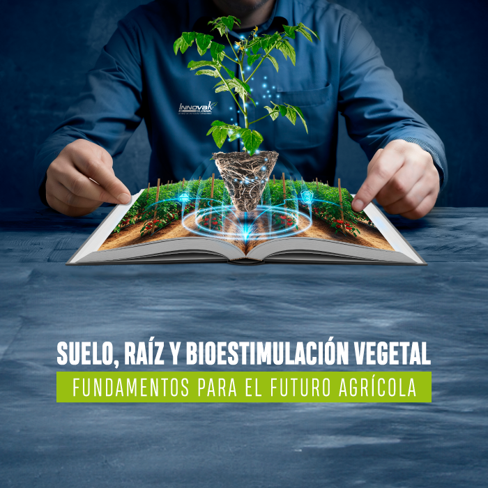 Imagen móvil