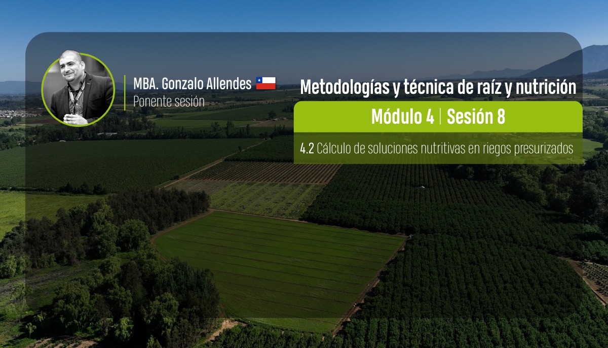 Metodología y técnica de raíz y nutrición: Cálculo de soluciones nutritivas en riegos presurizados