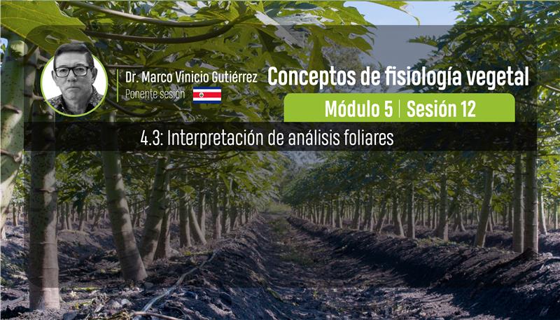 Fotosintesis y respiración | Procesos de traslocación vía Xilema o Floema